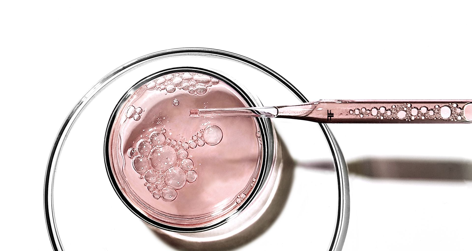 Scienza cosmetica e scienza della longevità per la bellezza della pelle