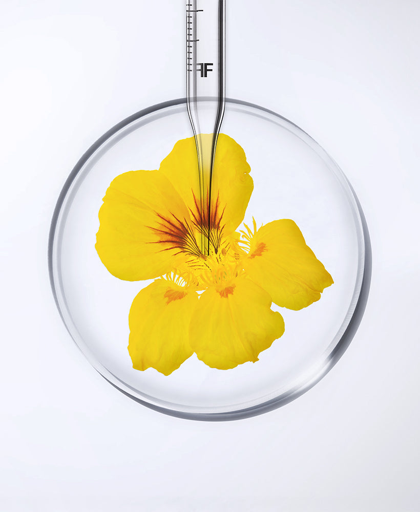 Scopri l'attivo: L'estratto di nasturzio, il tuo alleato ossigenante per la pelle