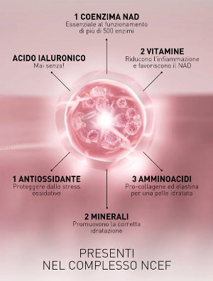 DUO NCEF REVITALIZE CREMA